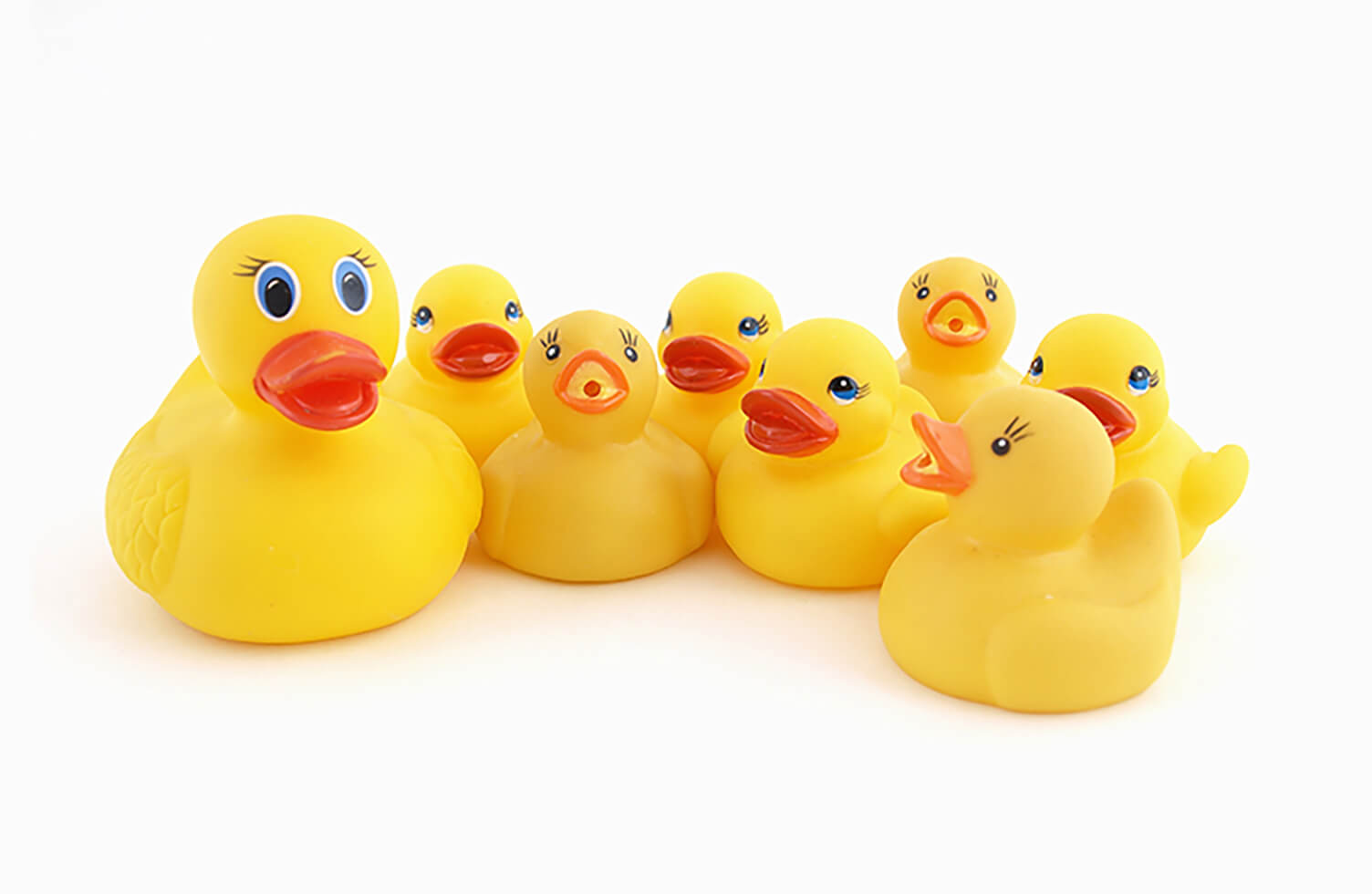 特性から画像の形式を選ぶ