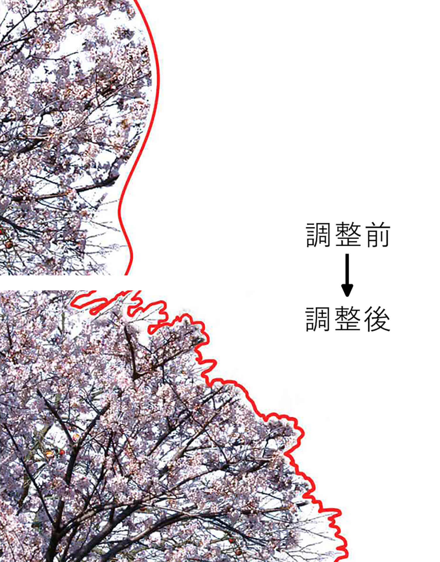 部分調整に細かく対応